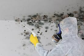 Why You Should Choose Our Mold Remediation Services in Clayton, AL